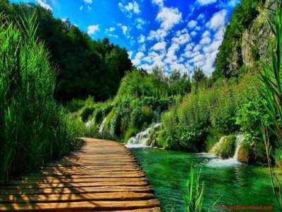 فروش باغ 748متری ، عباس آباد