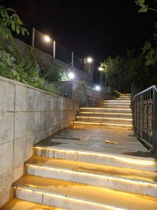 2300 متر ، باغ ، گنجنامه - 7