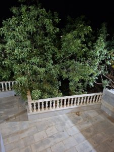 2300 متر ، باغ ، گنجنامه - 5