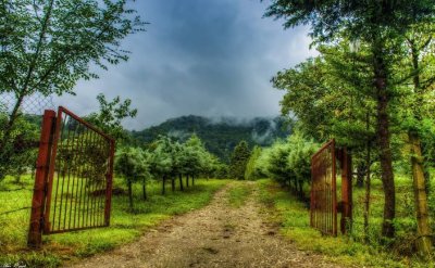 زمین باغی 14000متری محدوده عباس اباد 